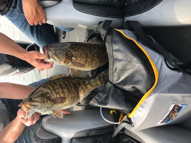 Frabill Weigh Bags Make a Difference on Mille Lacs